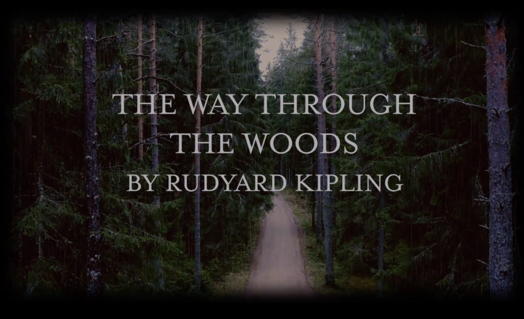 The Way Through the Woods - breannalaborde.com